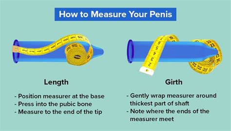 is 6 inch girth good|Penile Length & Girth: Penis Anatomy and Average。